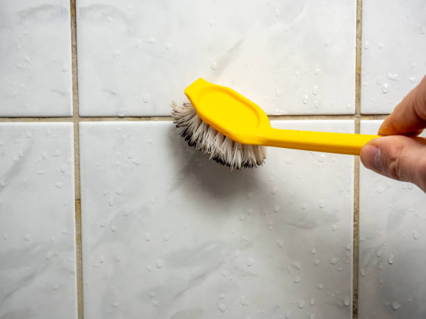  Lake Goodwin, WA Mold Removal Pros