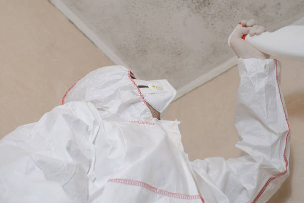 Best Industrial Mold Remediation in Lake Goodwin, WA